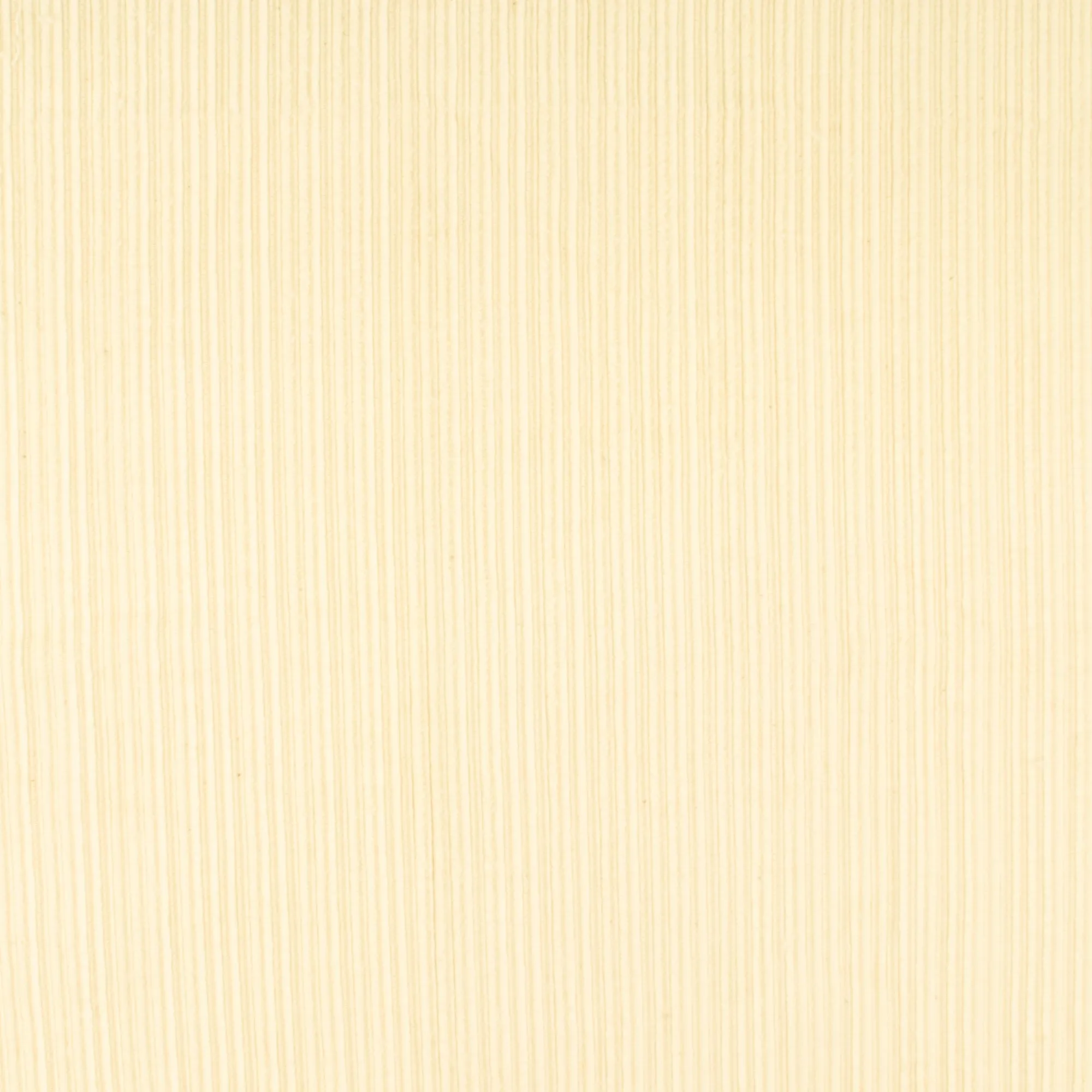 Corduroy - NOMAD - 030 - Offwhite